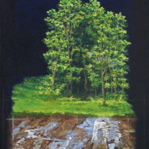artifact 3 - 2010 - 40 x 20 - Acrylic Canvas - One Of A Kind