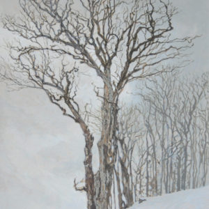 <strong>Hillside Maple</strong>, 2020<br>8"x 8"<br>Egg Tempera on True Gesso Birch Panel